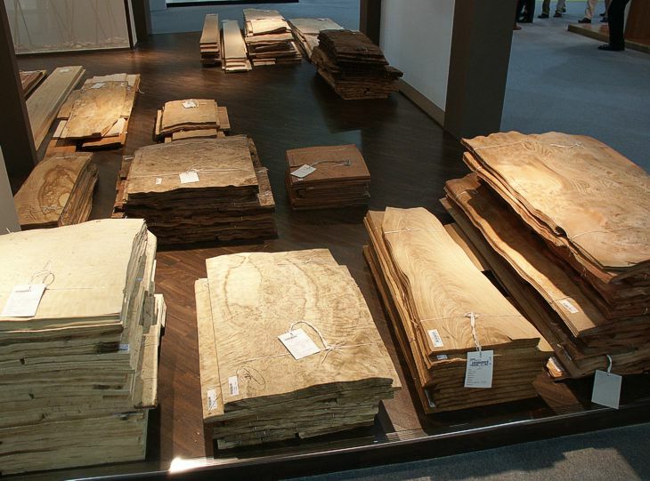 Click to See Next Image